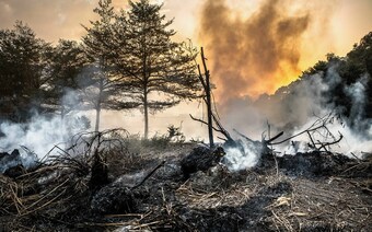 Оценка ущерба после стихийного бедствия в Липецке: отчет оценщика